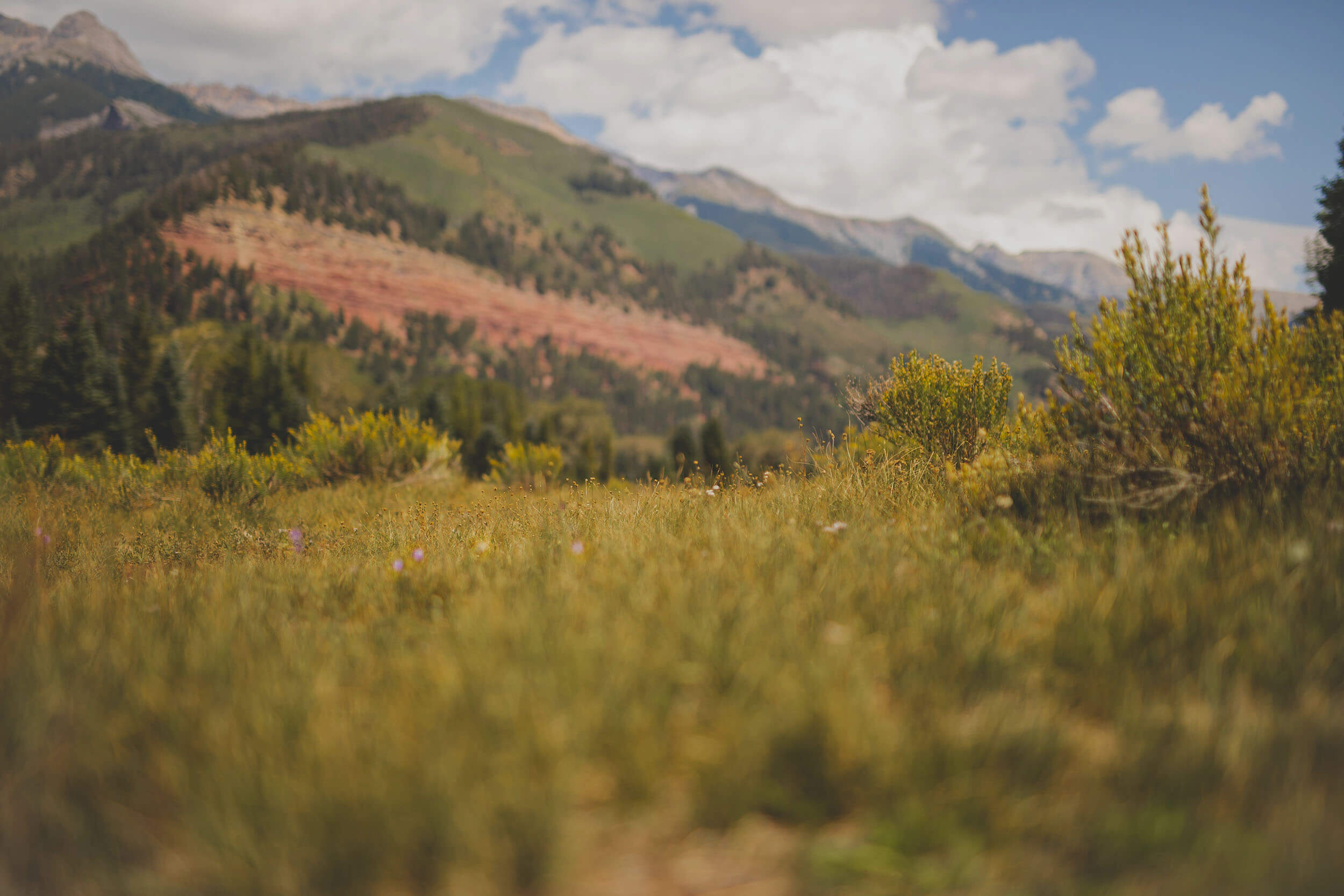 Woodroad Gear Co. - Supporting Wilderness